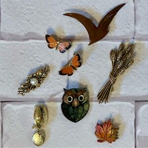 Vintage Brooch Pin Collection